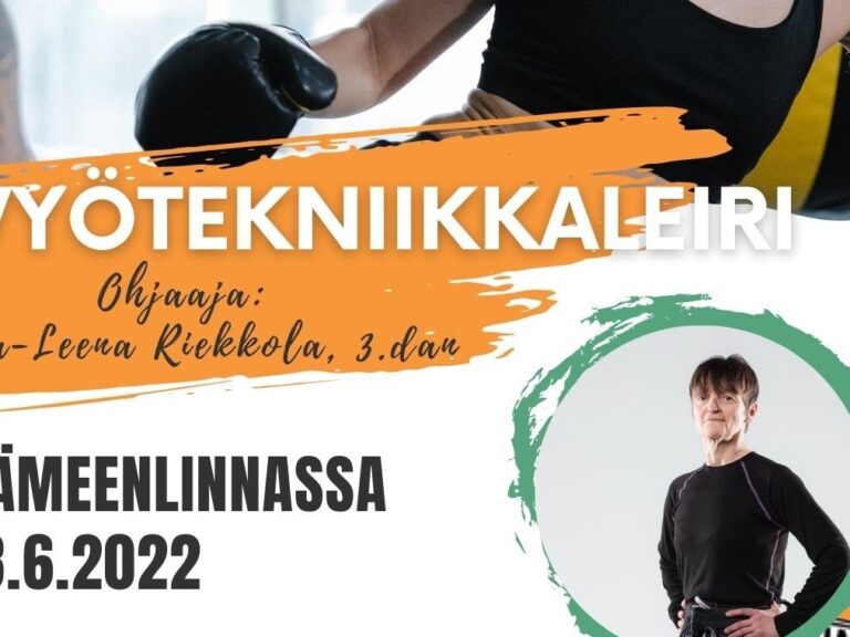 vyötekniikkaleiri leikattu 2