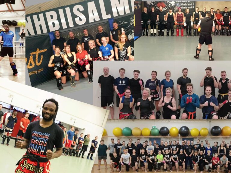 suurleiri-alueleiri kollaasi