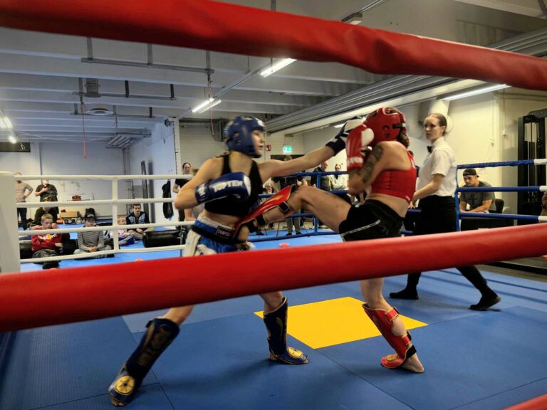 Tehtaan kisat kuva 1 syksy 2025